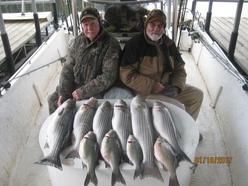 Nice Striped Bass